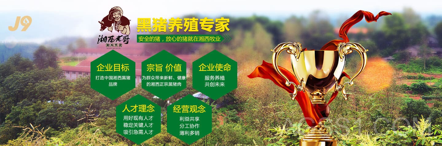 ag9游会