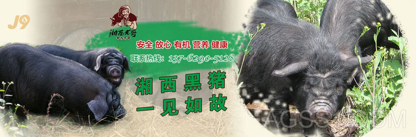 ag9游会