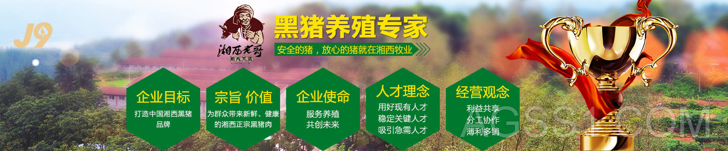 ag9亚游·(九游会)最新入口