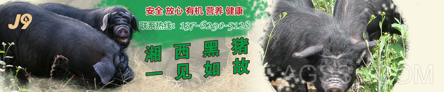 ag9亚游·(九游会)最新入口