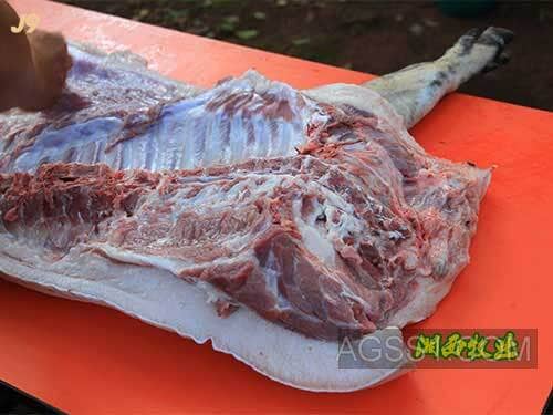 澜沧黑猪种类史册伊比利亚黑猪肉烤肠公主岭黑猪科技