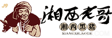ag9亚游·(九游会)最新入口